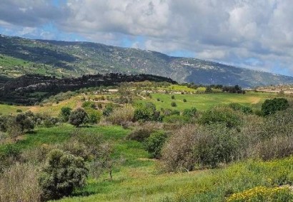 Thrinia, Paphos Residential Land For Sale | C12973
