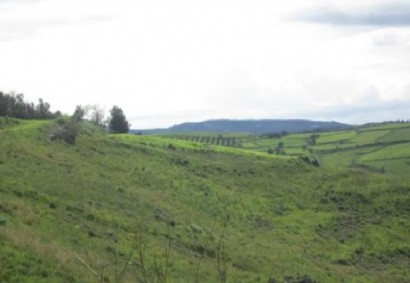 Thrinia, Paphos Residential Land For Sale | C12974