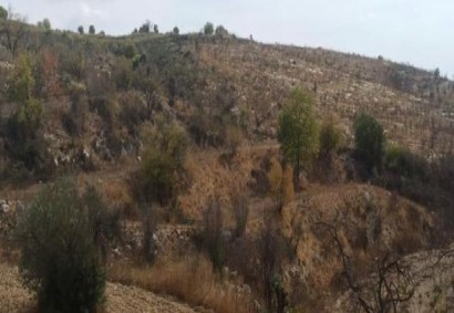 Drymou, Paphos Agricultural Land For Sale | C12982