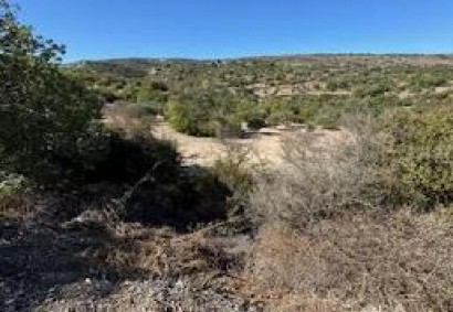 Drymou, Paphos Agricultural Land For Sale | C12983