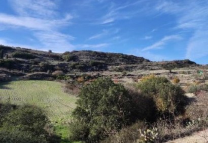Theletra, Paphos Agricultural Land For Sale | C12988