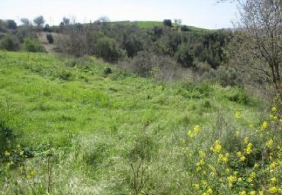 Drymou, Paphos Residential Land For Sale | C12990