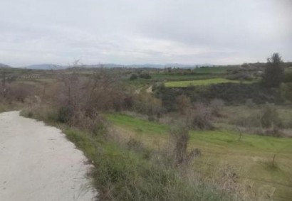 Theletra, Paphos Agricultural Land For Sale | C12991