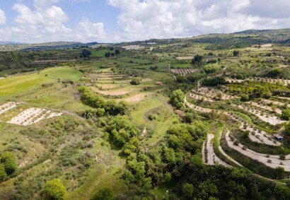 Theletra, Paphos Agricultural Land For Sale | C12998
