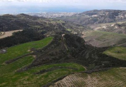 Akoursos, Paphos Agricultural Land For Sale | C13003