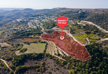 Theletra, Paphos Residential Land For Sale | C13004