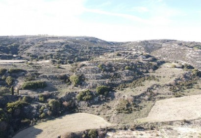 Theletra, Paphos Agricultural Land For Sale | C13005