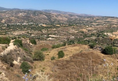 Theletra, Paphos Agricultural Land For Sale | C13008