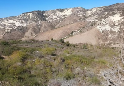 Pegeia, Paphos Agricultural Land For Sale | C13010