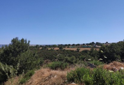 Pegeia, Paphos Agricultural Land For Sale | C13016