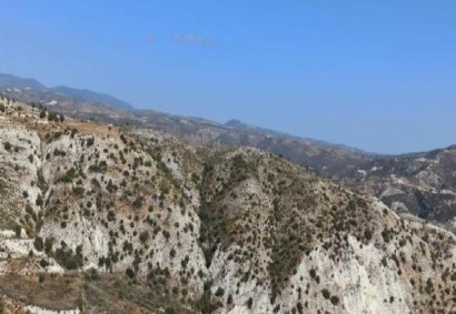 Trachypedoula, Paphos Agricultural Land For Sale | C13017