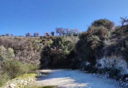 Salamiou, Paphos Agricultural Land For Sale | C13018