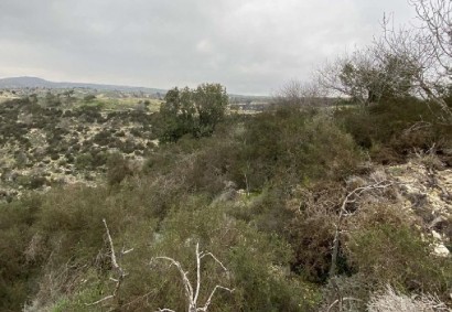 Pegeia, Paphos Agricultural Land For Sale | C13019