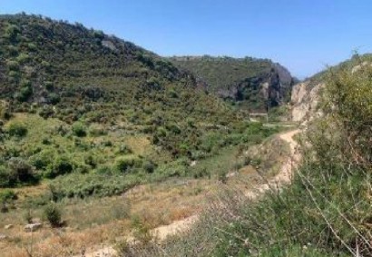 Kathikas, Paphos Agricultural Land For Sale | C13020