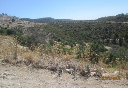 Mousere, Paphos Agricultural Land For Sale | C13021
