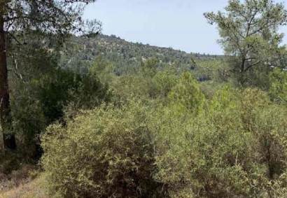 Mousere, Paphos Agricultural Land For Sale | C13022