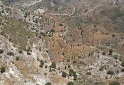 Kedares, Paphos Agricultural Land For Sale | C13023