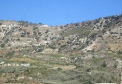Kedares, Paphos Agricultural Land For Sale | C13024