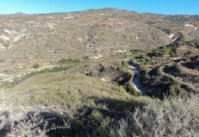 Kedares, Paphos Agricultural Land For Sale | C13025