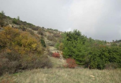 Arminou, Paphos Agricultural Land For Sale | C13026