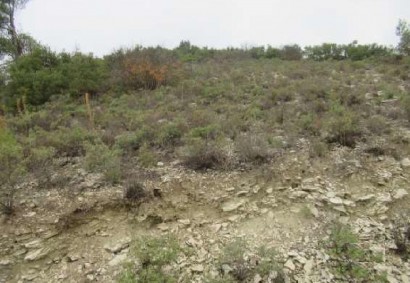 Arminou, Paphos Agricultural Land For Sale | C13027