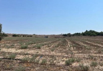 Geri, Nicosia Agricultural Land For Sale | C13034