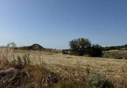 Lasa, Paphos Agricultural Land For Sale | C13038