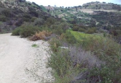 Drouseia, Paphos Agricultural Land For Sale | C13040
