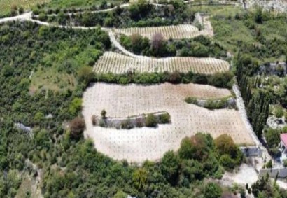 Koilani, Limassol Agricultural Land For Sale | C13041