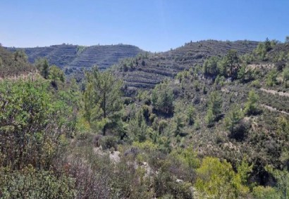 Silikou, Limassol Agricultural Land For Sale | C13043