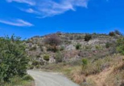 Pelendri, Limassol Agricultural Land For Sale | C13044