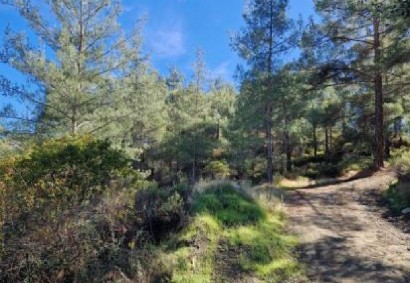 Pelendri, Limassol Agricultural Land For Sale | C13045