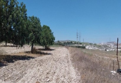 Aradippou, Larnaca Agricultural Land For Sale | C13051