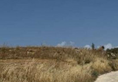 Drymou, Paphos Agricultural Land For Sale | C13053