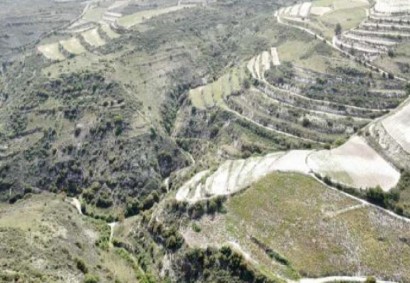 Omodos, Limassol Agricultural Land For Sale | C13061