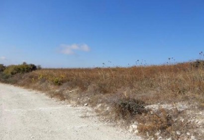 Vasa Koilaniou Agricultural Land For Sale | C13062