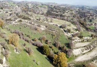 Dora, Limassol Agricultural Land For Sale | C13063