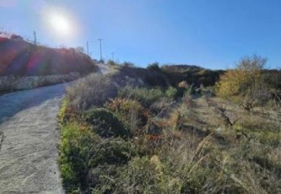 Lemona, Paphos Agricultural Land For Sale | C13075