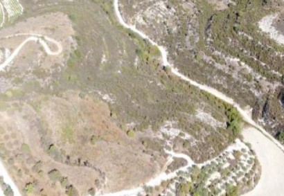 Pachna, Limassol Agricultural Land For Sale | C13076