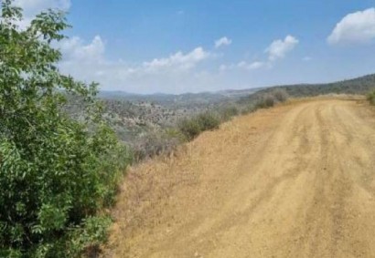 Vasa Kellakiou Agricultural Land For Sale | C13077