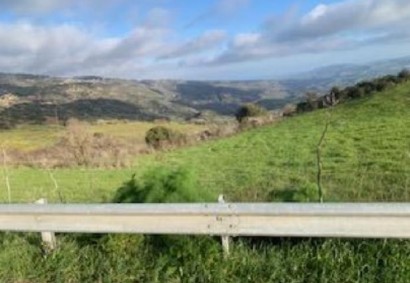 Stroumpi Pano, Paphos Agricultural Land For Sale | C13105