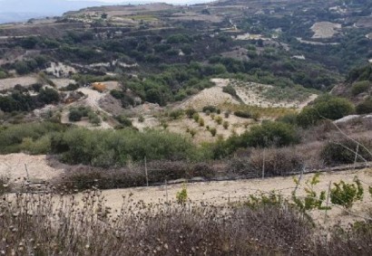 Stroumpi Pano, Paphos Agricultural Land For Sale | C13106