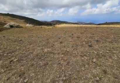 Ineia, Paphos Agricultural Land For Sale | C13107