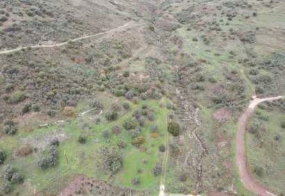 Trachypedoula, Paphos Agricultural Land For Sale | C13109