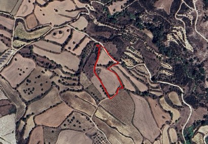 Thrinia, Paphos Agricultural Land For Sale | C13119