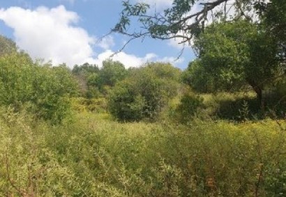 Drymou, Paphos Residential Land For Sale | C13123