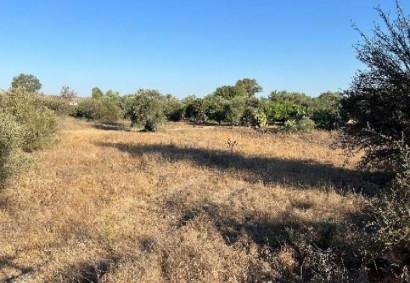 Pera, Nicosia Residential Land For Sale | C13147