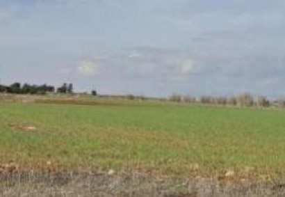Frenaros, Famagusta Agricultural Land For Sale | C13148