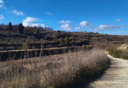 Kathikas, Paphos Agricultural Land For Sale | C13158