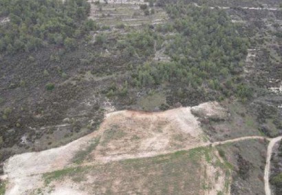 Mesana, Paphos Agricultural Land For Sale | C13160